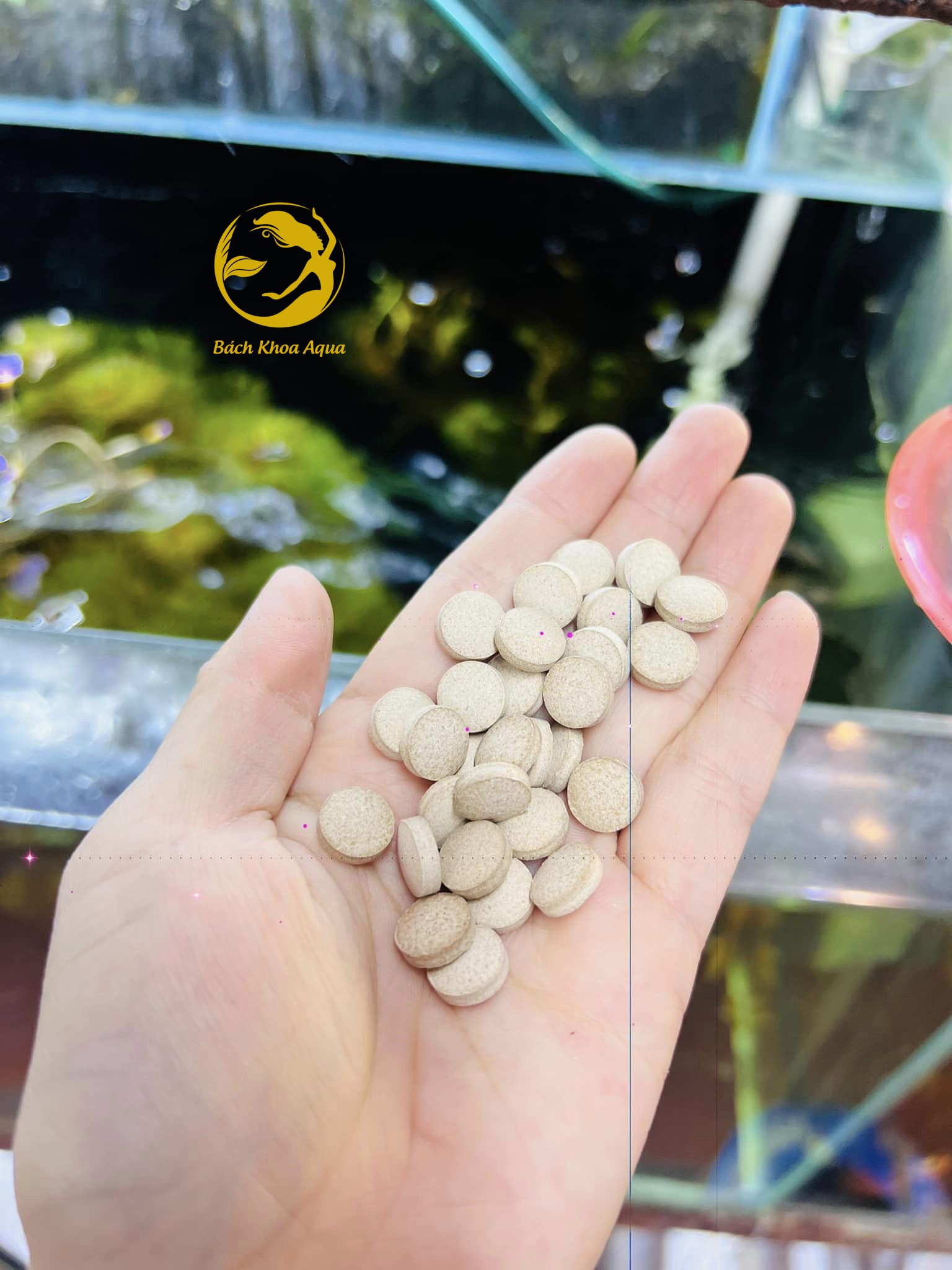 Vi sinh dạng viên nén Jeneca làm trong nước hiệu quả - 80g